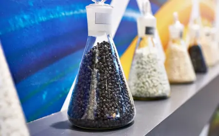 Polymers from Nature: Global Bio-based Alternatives to Petrochemicals