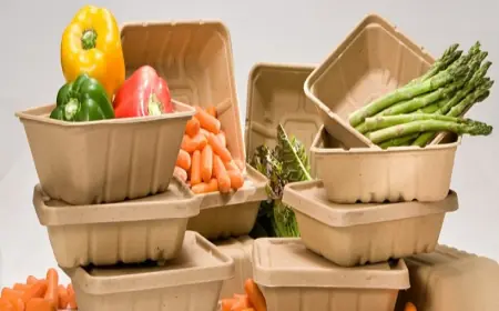 Green Alternatives in Plastics: Global Industry Insights