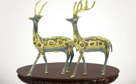 Turn Ordinary Spaces into Statements with Dehradun’s Finest Luxury Decor