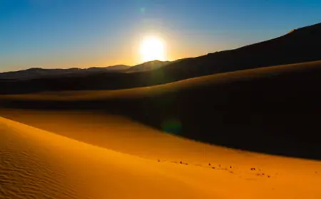 عملية التقديم على تأشيرة الجزائر لمقيمي دولة الإمارات