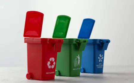 Mini Skip Bins: The Affordable Choice for Small Jobs