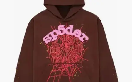 Title: The Pink Spider Hoodie: Bold Fashion Meets Symbolic Edge