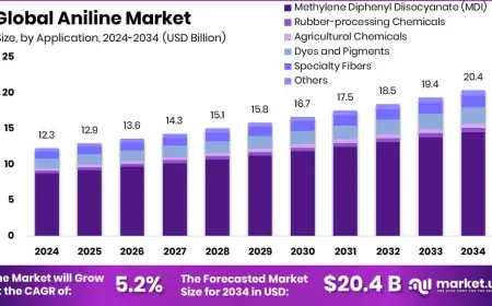 Aniline Market Demand Across Key Regions