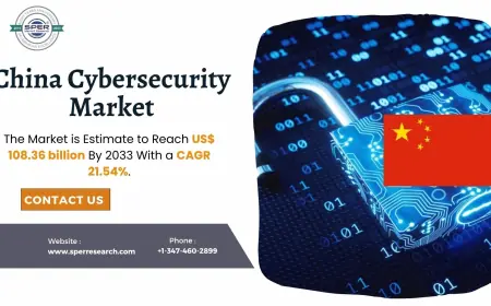 China Cybersecurity Market Size, Share and Future Outlook 2033