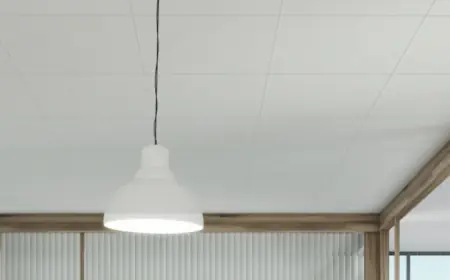 Find the Best Light Fixture Replacement in Silver Spring