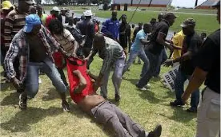 He Barked Like a Dog After Stealing My Earrings from the Table