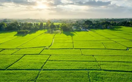 SJR Vivo City Bangalore – Space to Grow, Live, Thrive