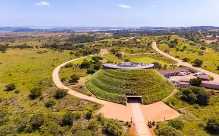 Discover the Culture and History of South Africa 