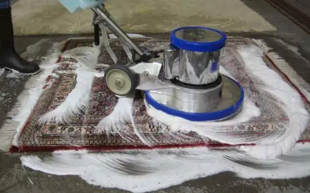 The Benefits of Regular Carpet Cleaning for a Healthier Home