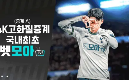 토토티비 | 무료 4K 스포츠 중계의 끝판왕 - 벳모아티비