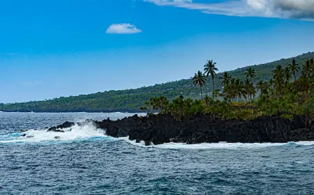 من دبي إلى جزر القمر: خدمات التأشيرات السهلة للمسافرين من الإمارات