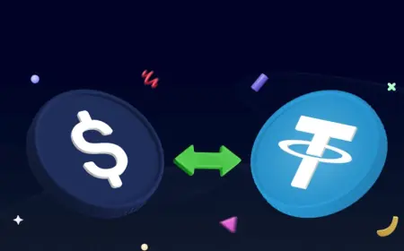 Holding vs Trading: Which Crypto Strategy Works Best