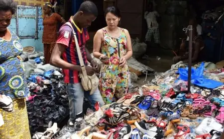 Don’t Miss Out! Discover How to Keep Your Competitors From Taking the Lead