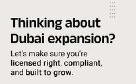 Tips To Start An Llc In Dubai: 5 Things You Just Can't-miss