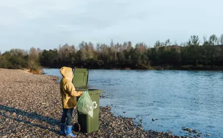 The Economic Benefits of Coastal Ecosystems in Ocean Resilience