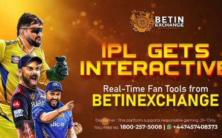 Betinexchange | Live Sports Insights & Entertainment Hub – BetinExchange360
