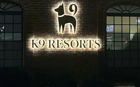 The Ultimate Guide to Choosing LED Channel Letters for Energy Efficiency and Impact