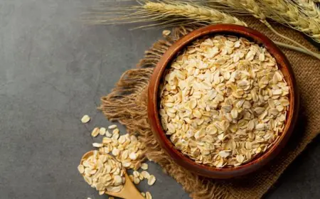United States Oats Market Trend Dynamics & Segment Forecast 2025–2033