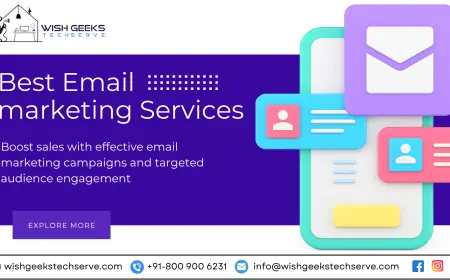 Top Email Marketing Agency in India to Grow Your Business—Wish Geeks Techserve