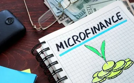 India Microfinance Market 2031: Top Players & Forecast