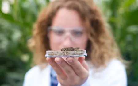 Why the Best Dispensaries in DC Pay Close Attention to Packaging