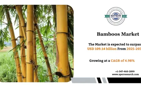 Bamboos Market Forecast, Key Players and Outlook