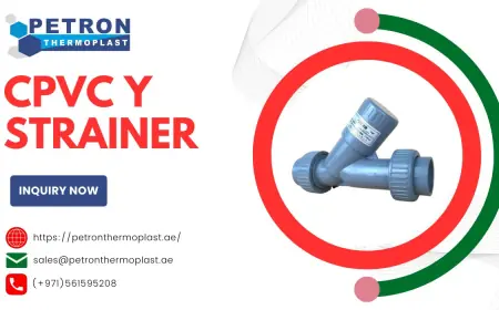 CPVC Y Strainer for Industrial Filtration Systems in UAE