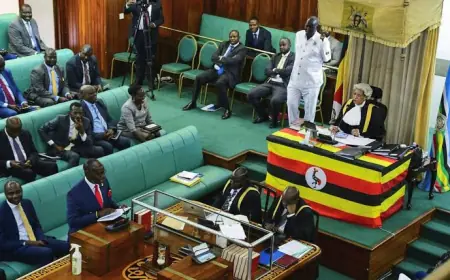 From MP to Minister!! My Journey to the Cabinet