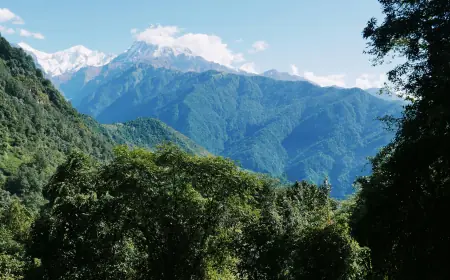 Feeling Stuck? The View from Poonhill Might Be the Reset You Need