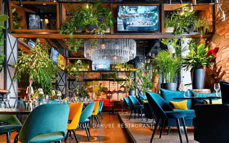 Calgary's Best Spring Rolls: Why Blue Danube's Are a Local Favorite