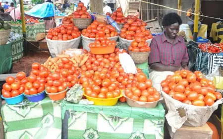 From Tomato Vendor to Hotel Owner, My Unexpected Journey to Success