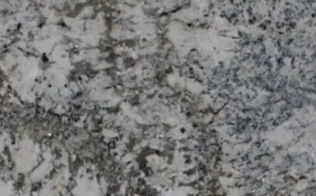 Alaska White Granite: The Perfect Blend of Cool Tones and Natural Beauty