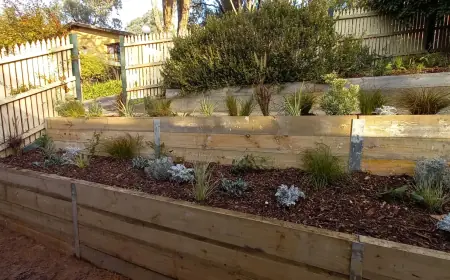 Elevate Your Home with Professional Landscaping Services Melbourne
