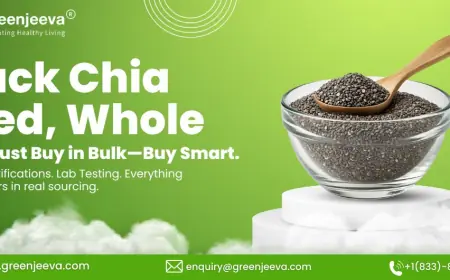 Black Chia Seed for North America: Sourcing the Right Quality