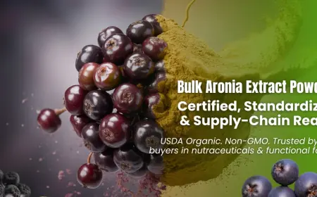 Aronia Extract Powder: A Sourcing Essential for Nutraceutical Formulators