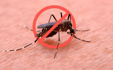 Protect Your Family with Expert Mosquito Pest Control Services in Kanpur