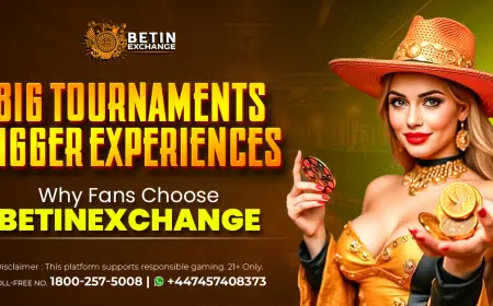 Rise to the Challenge with betinexchange