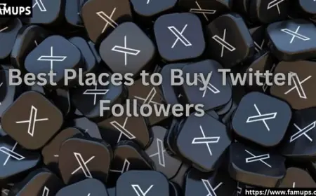 5 Best Places to Buy Twitter Followers for Fast Engagement Growth