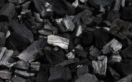 Indonesia Coal Market Report 2025-2033, Industry Growth Opportunity, and Forecast