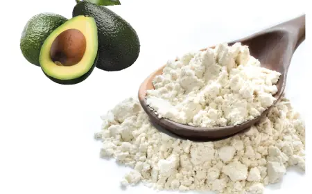 Why Avocado Powder is the Best Addition to Your Plant-Based Diet
