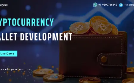 Top Choice for Crypto Wallet Development in the USA – Trusted by Web3 Innovators Nationwide