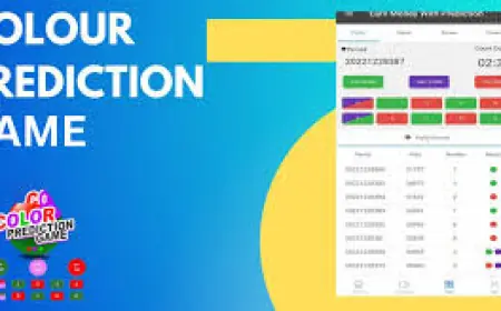 Top Colour Prediction Games with Referral Bonuses