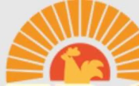 Roosters Woking: A Flavorful Fusion of Tradition and Taste