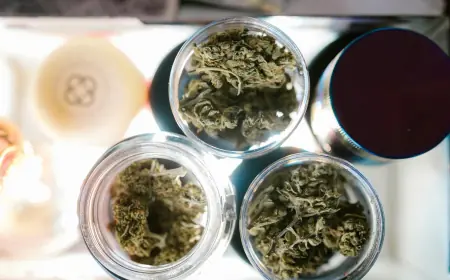 Granny Za’s Guide to Shopping at a Dispensary in DC