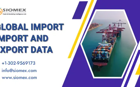 Future of import export Business in the global market