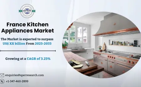 France Kitchen Appliances Market Size & Outlook 2033