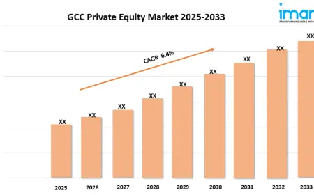 GCC Private Equity Market Trends, Growth, and Forecast 2025-2033