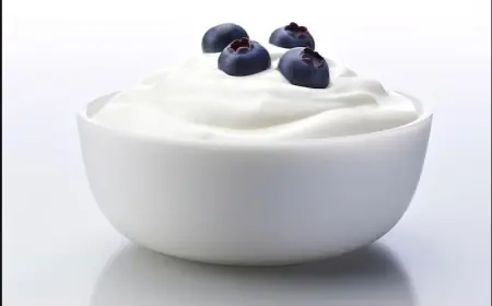 US Yogurt Market Industry Growth Outlook with Segmentation 2025–2033