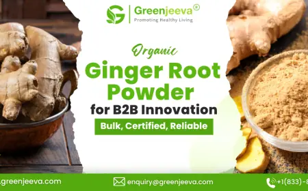 Sourcing Organic Ginger Root Powder in Bulk: What Canadian Buyers Should Know