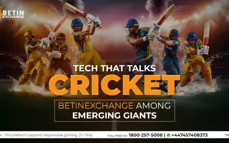 Unleash Sporting Excitement with Betinexch